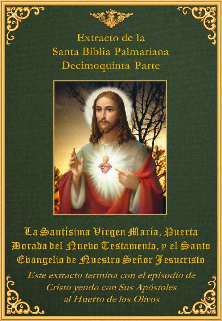  <a href="/wp-content/uploads/2019/04/Biblia-extracto-Nuevo-Testemento-hasta-la-Pasíon.pdf" title="Biblia Extracto Nuevo Testemento hasta la Pasíon">Biblia Extracto <br>Nuevo Testemento hasta<br> la Pasíon<br><br> Ver más