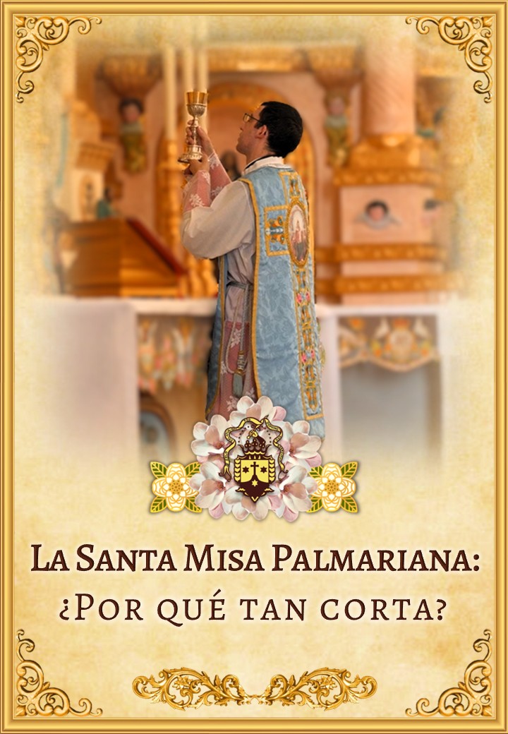 La Santa Misa Palmariana:<br>¿Por qué tan corta? <br><br>Ver más