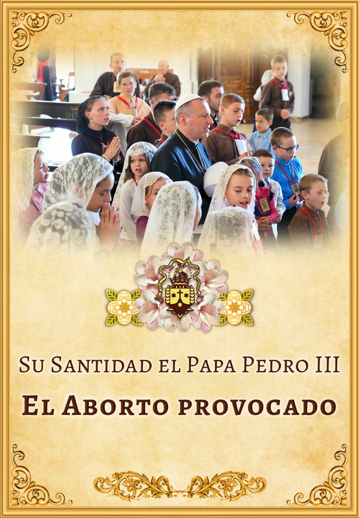 El aborto provocado <br><br>Ver m&aacute;s